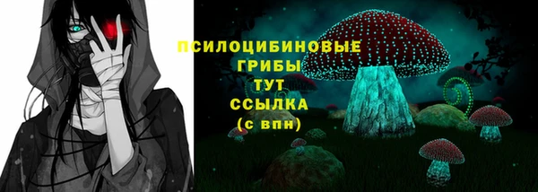 винт Арсеньев