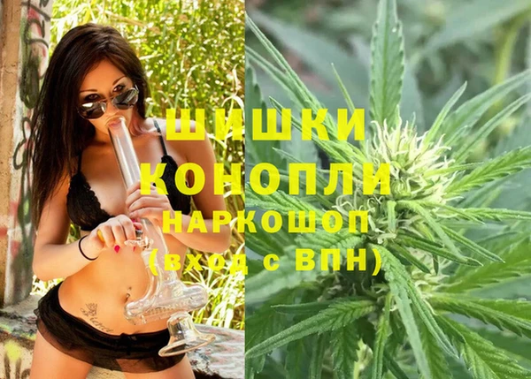 винт Арсеньев